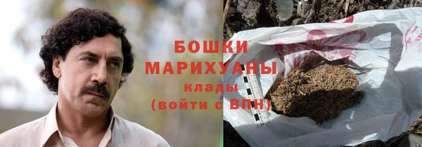 индика Инта
