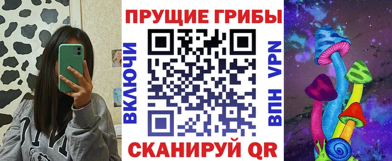 Купить где  Завитинск  Псилоцибиновые грибы MAGIC MUSHROOMS 